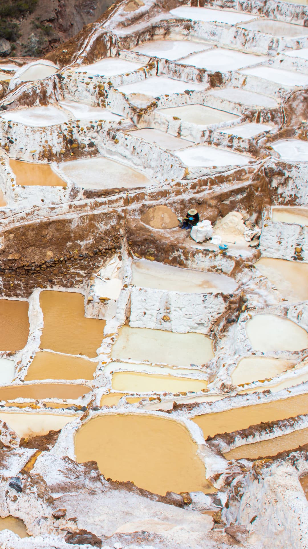MARAS_MORAY-1